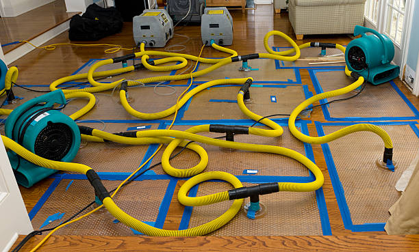 Professional Burst Pipe Water Damage technician working in Saint Nazianz, WI